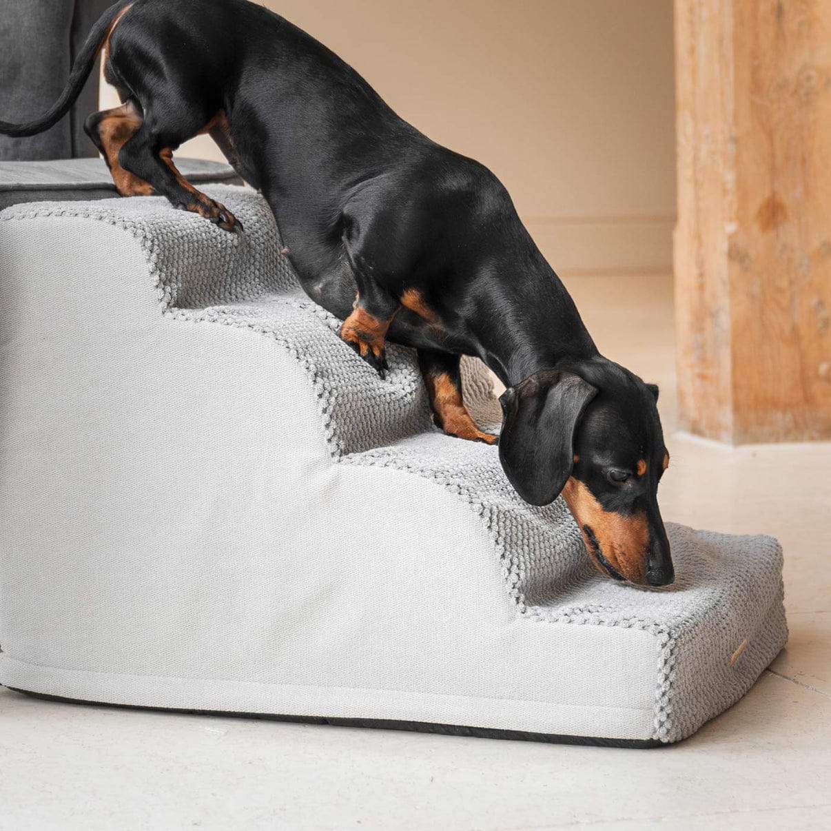 Ramp for Dog Pet Ladder 2 3 4 Steps Stairs dachshund Dog