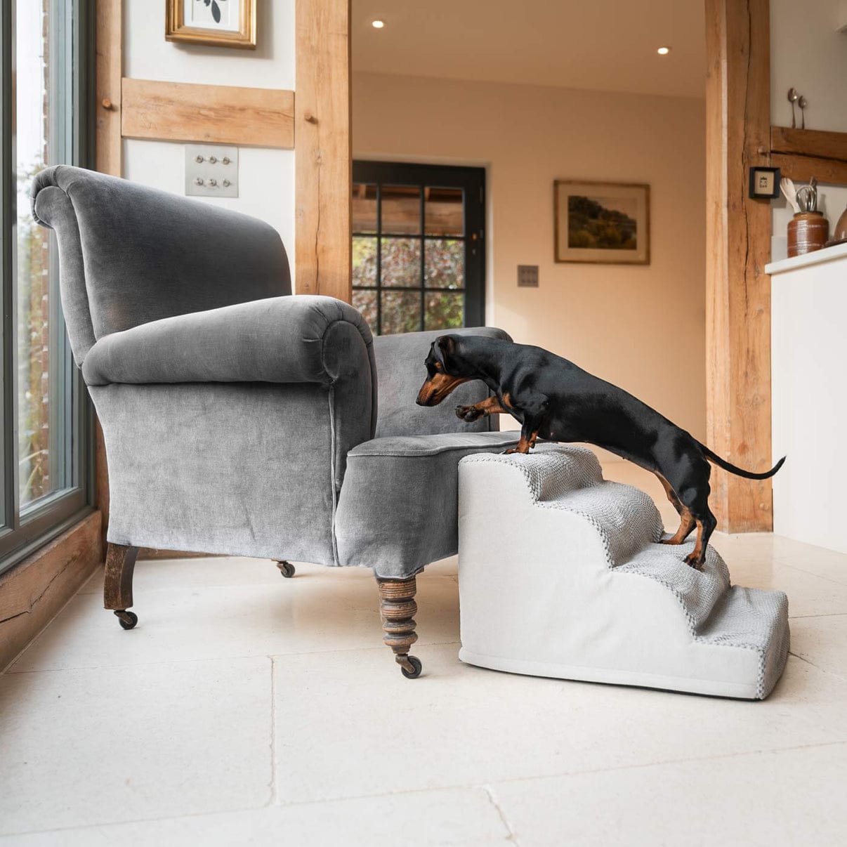 Ramp for Dog Pet Ladder 2 3 4 Steps Stairs dachshund Dog