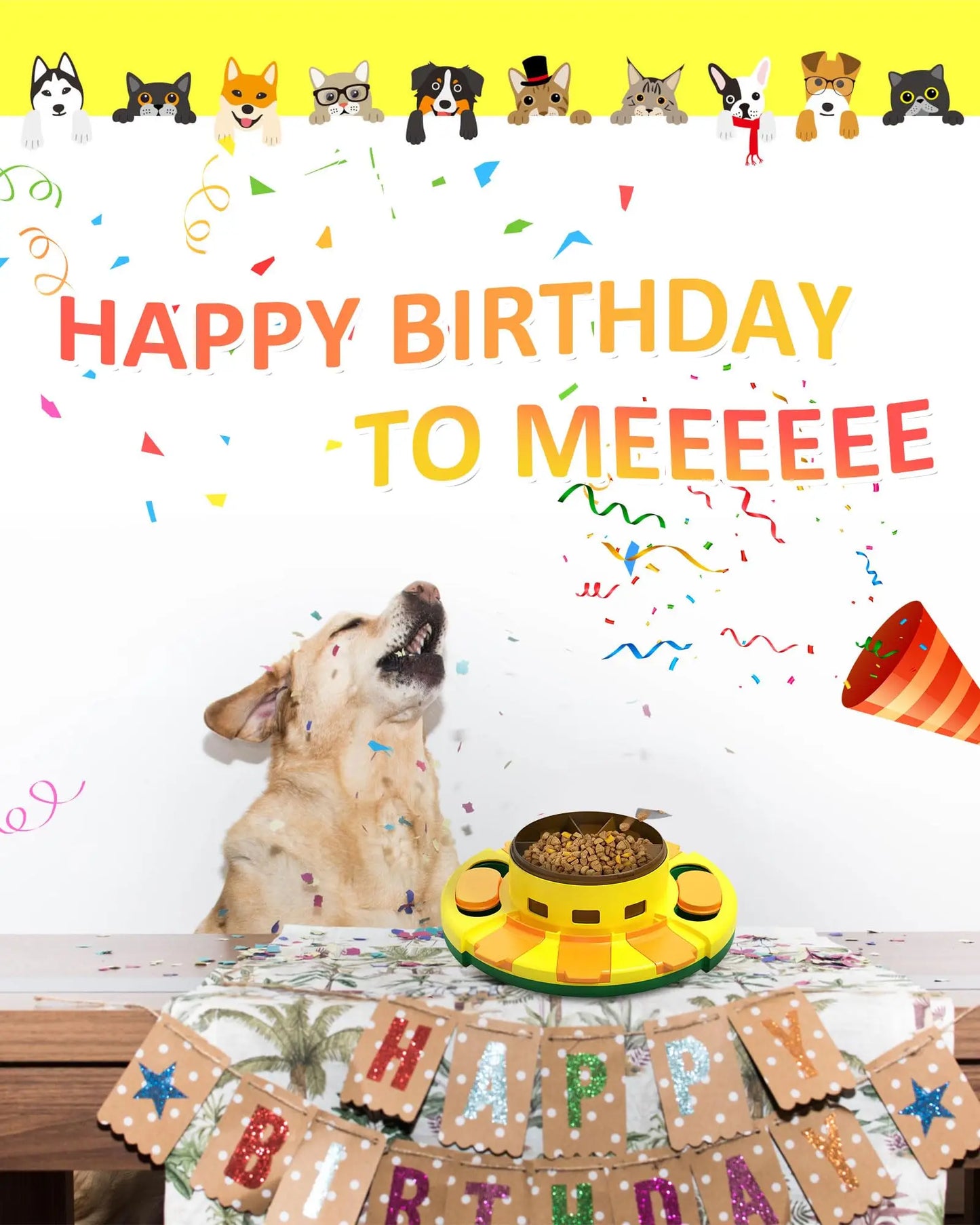 Interactive Puzzle Toy