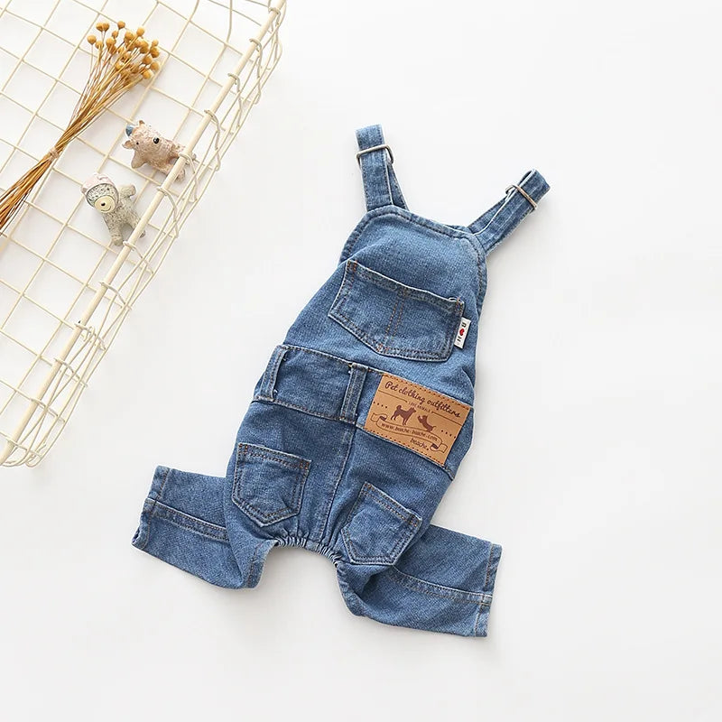 Adorable Dachshund in Denim Overalls