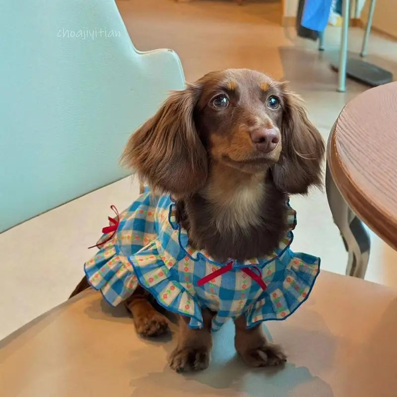 Dachshund Dogs Dress with Bowtie