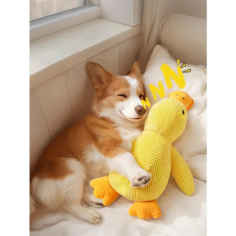 Dog Toys