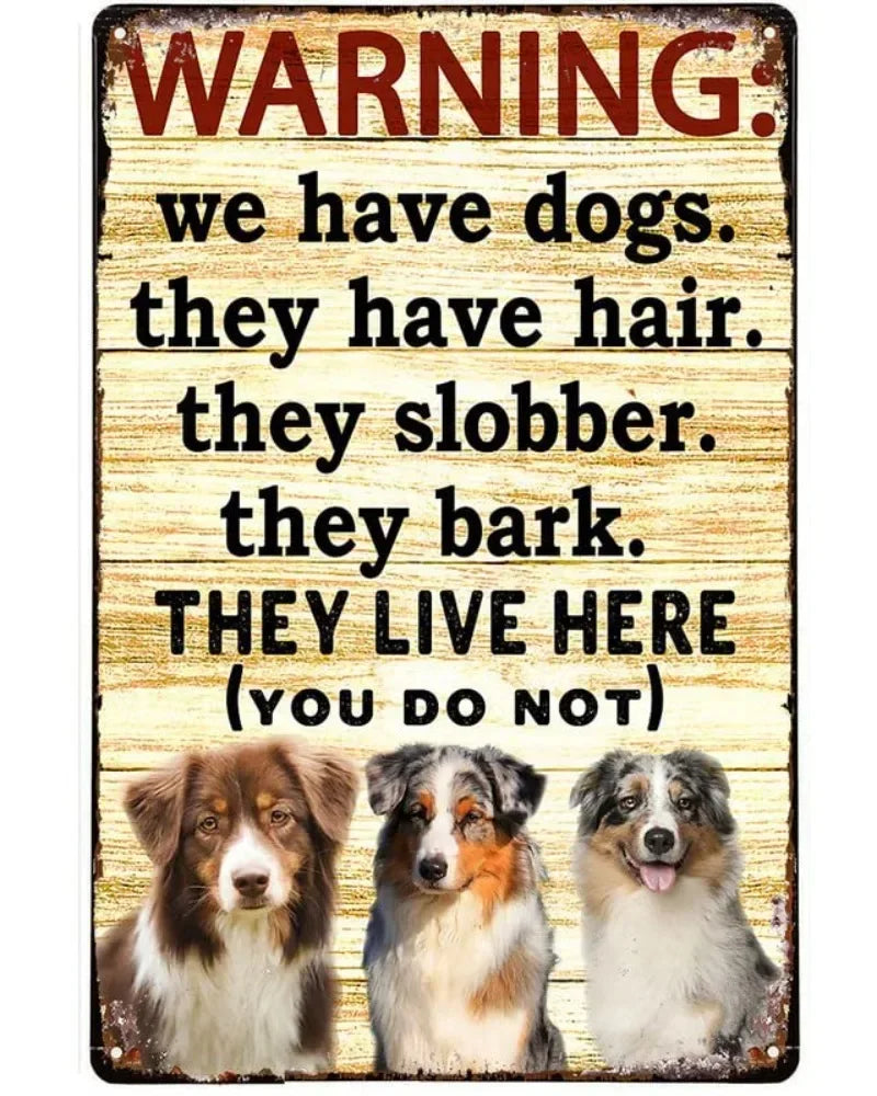 Australian Shepherd Dog Poster