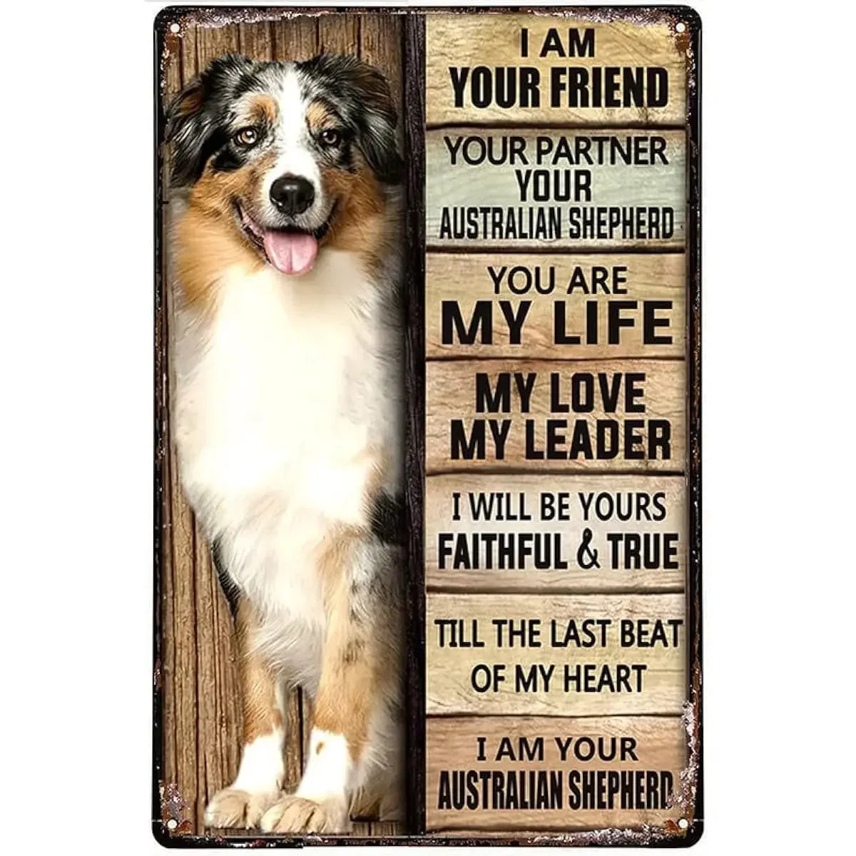 Australian Shepherd Dog Poster