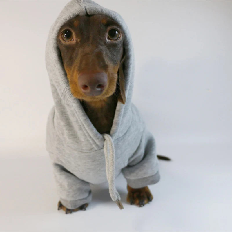 Cool Dog Hoodie