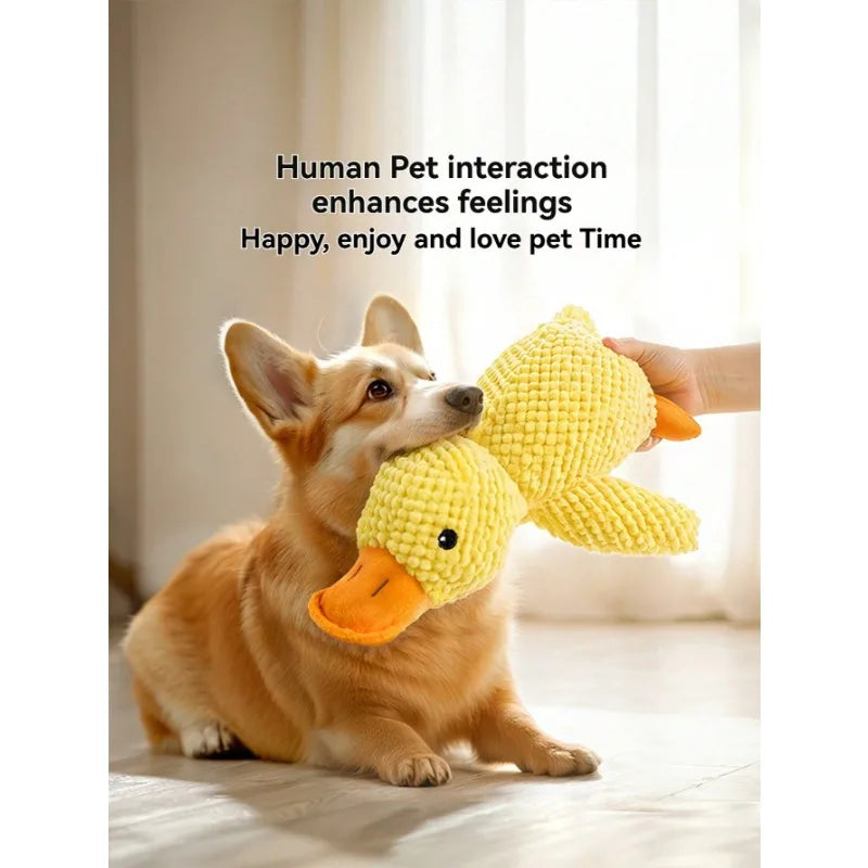 Dog Toys