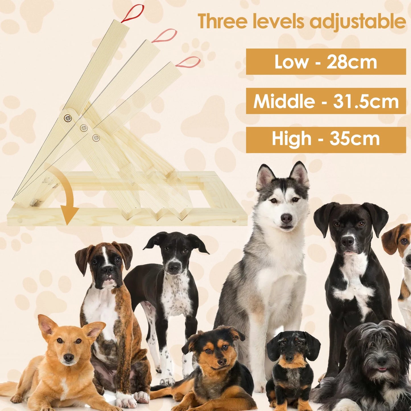 Dog Nail Board