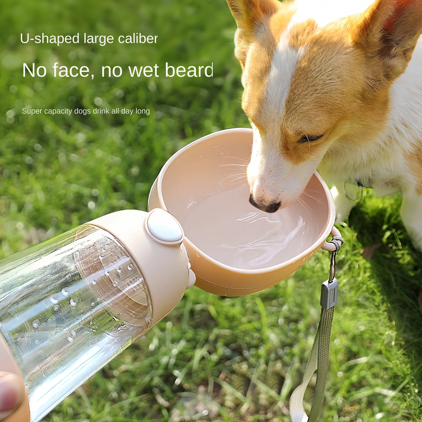 Water Bottle Pet Drinking