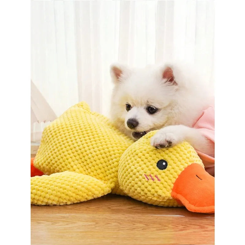 Dog Toys