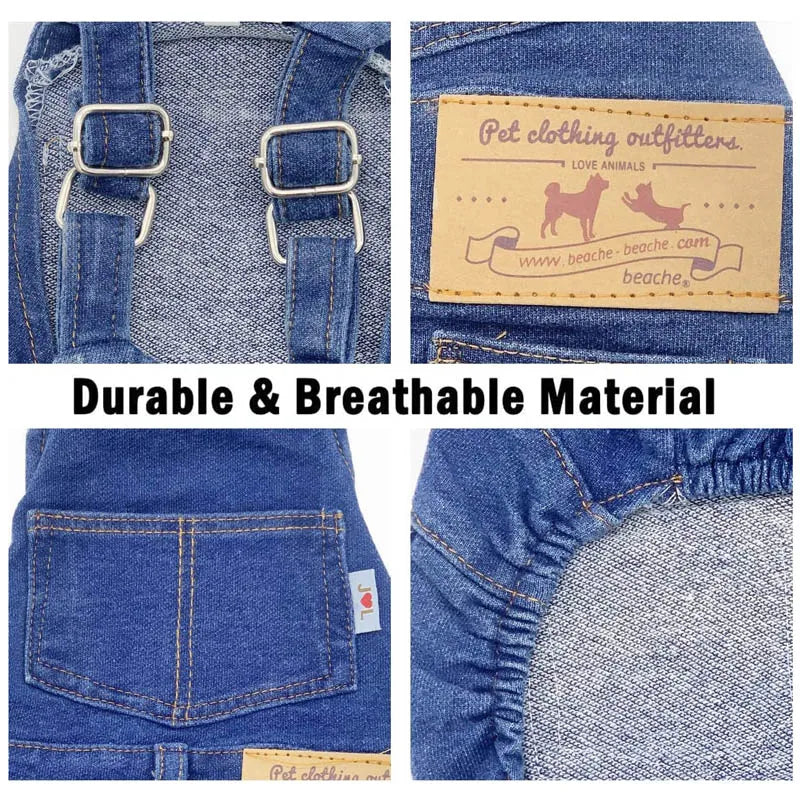 Adorable Dachshund in Denim Overalls