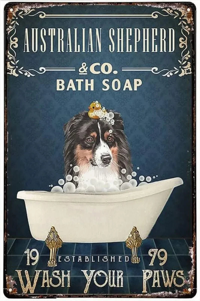 Australian Shepherd Dog Poster