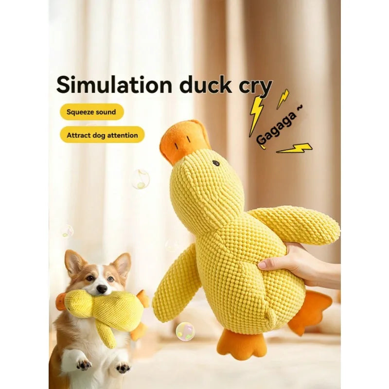 Dog Toys