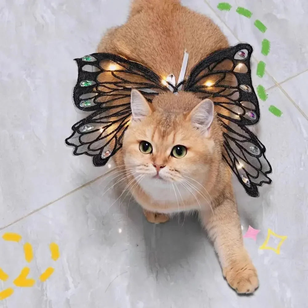 Dog Wings Glowing Butterfly