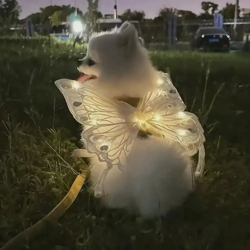Dog Wings Glowing Butterfly