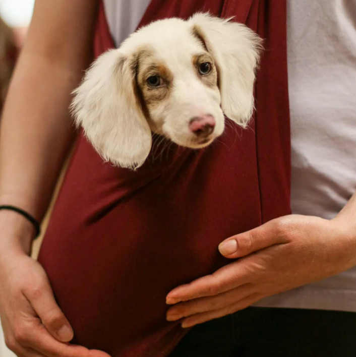 Pet Carrier Sling