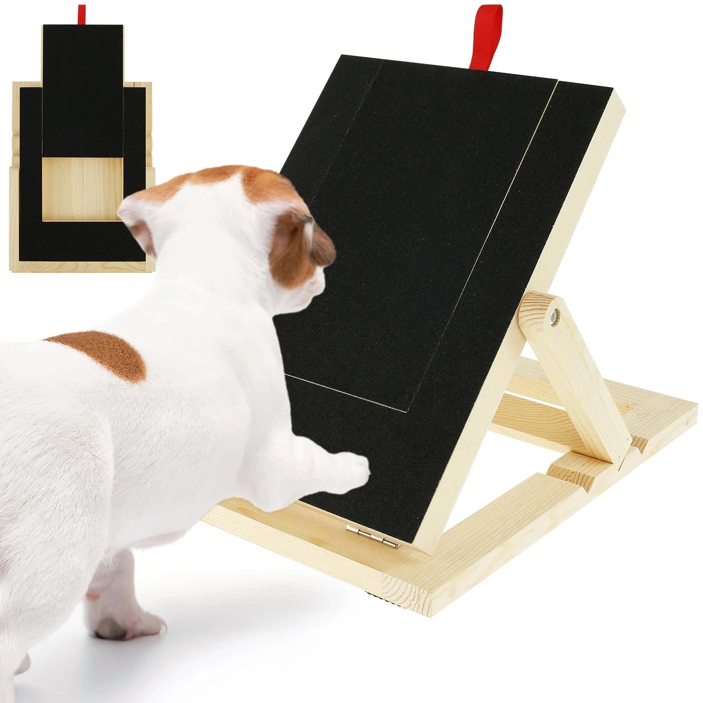 Dog Nail Board