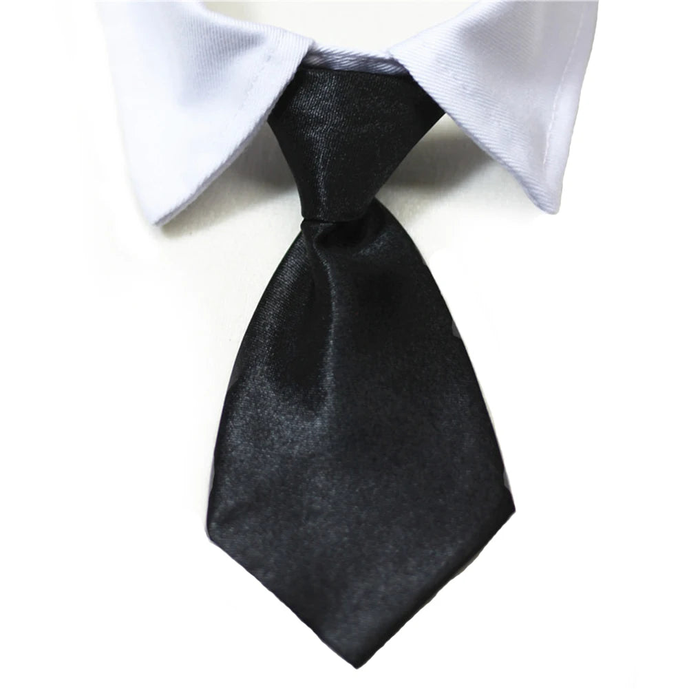 Pet Necktie