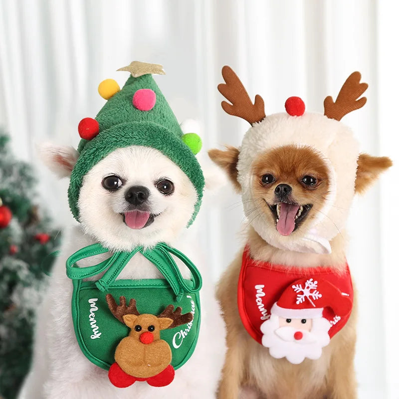 Dachshund Costumes for Christmas