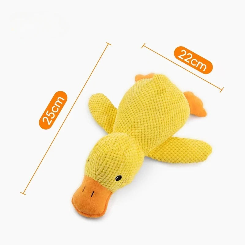 Dog Toys