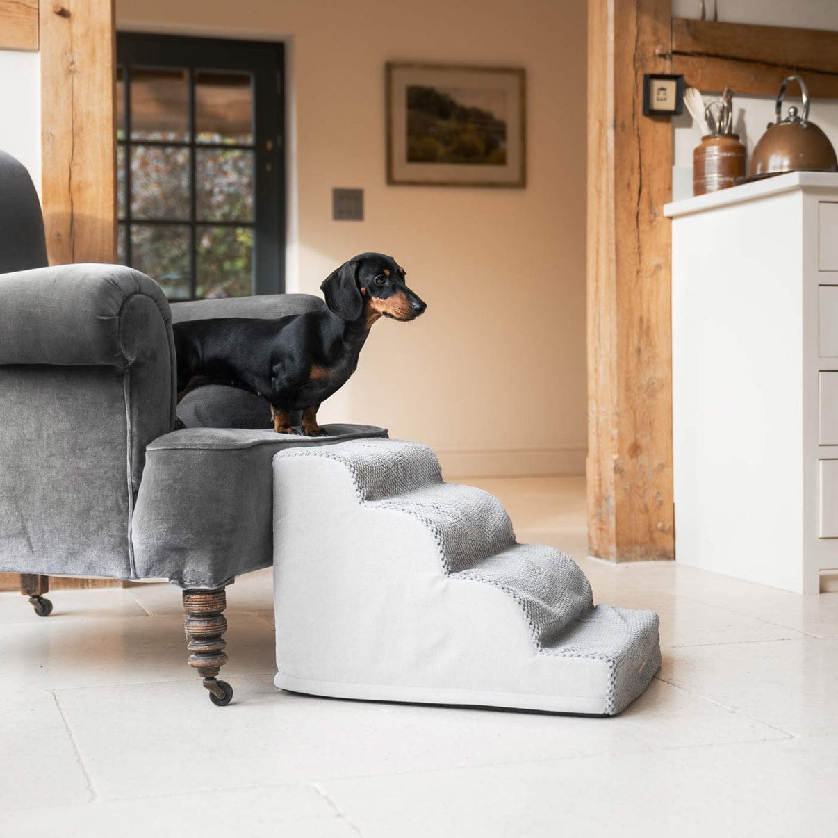 Ramp for Dog Pet Ladder 2 3 4 Steps Stairs dachshund Dog