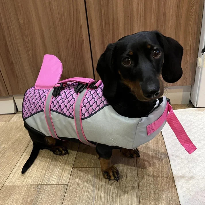 Shark Jacket For Dachshund