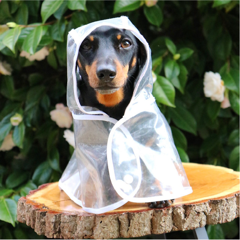 Dog Raincoat Waterproof