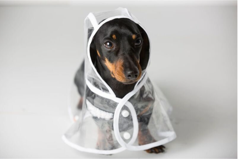 Dog Raincoat Waterproof