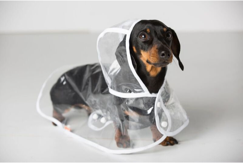 Dog Raincoat Waterproof