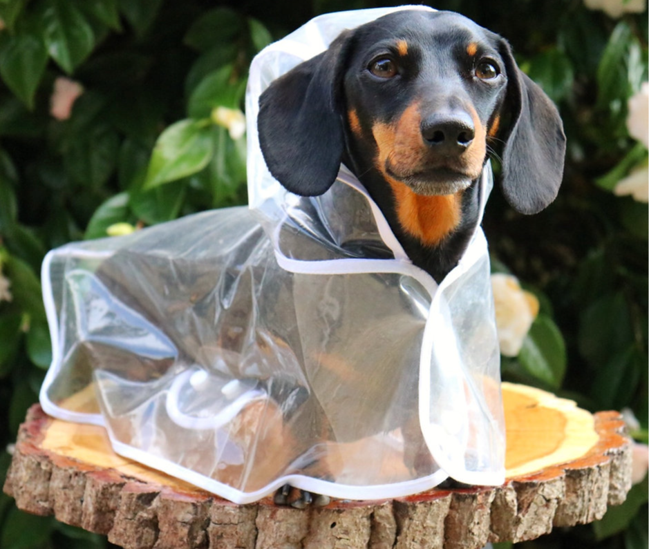 Dog Raincoat Waterproof