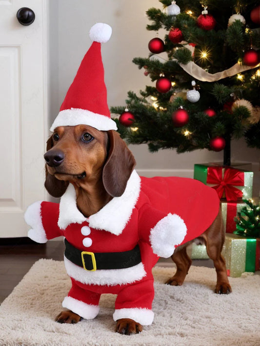 Santa Paws Outfit