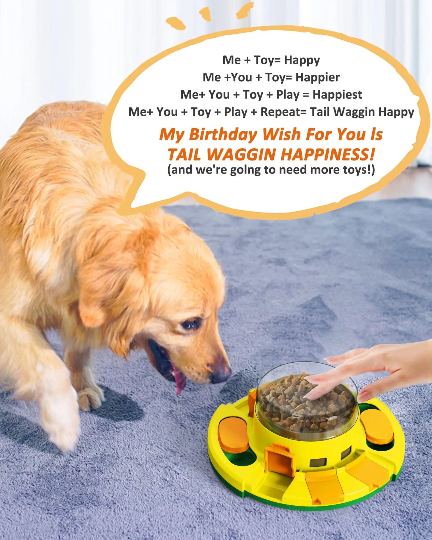 Interactive Puzzle Toy