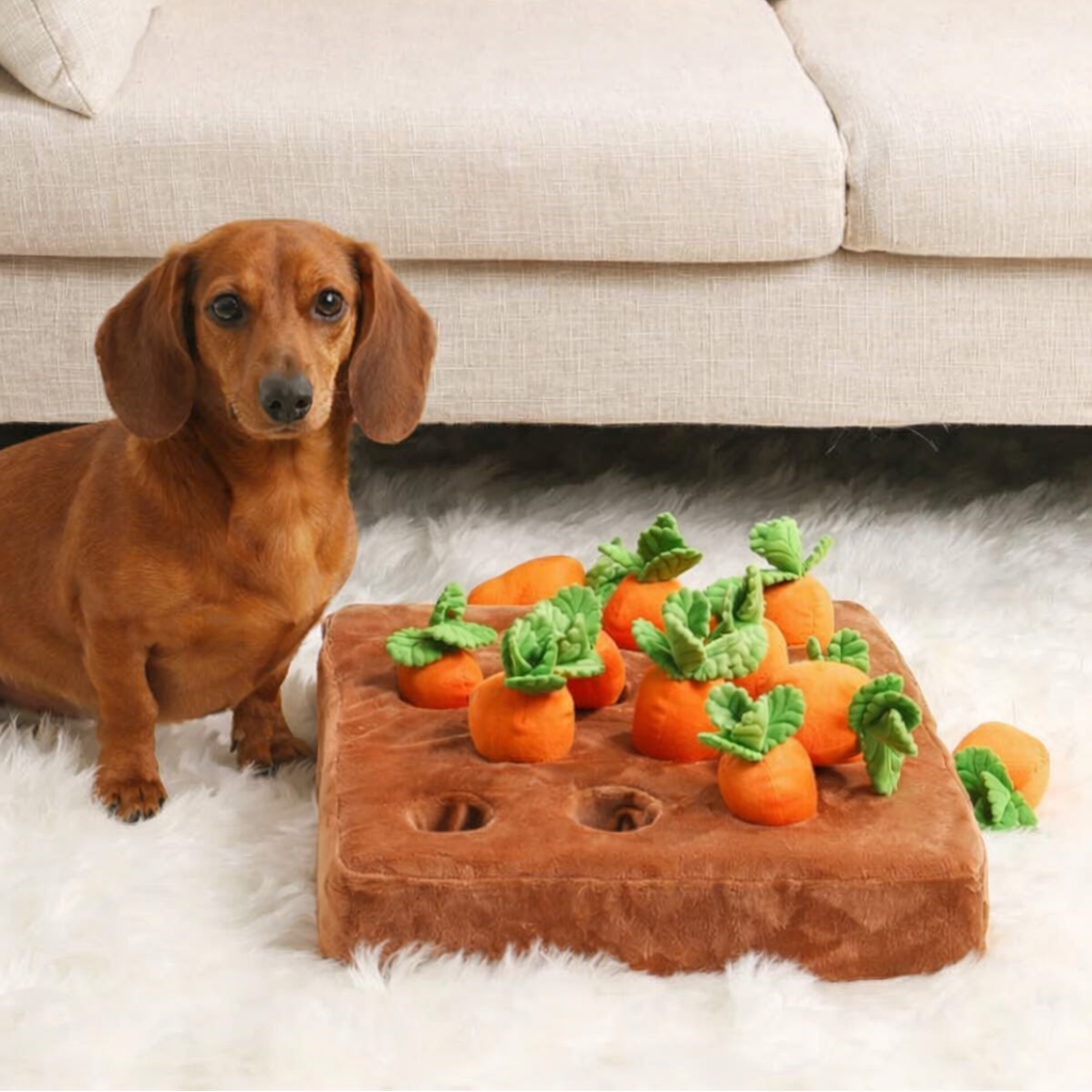 Carrot Plush Interactive Toy