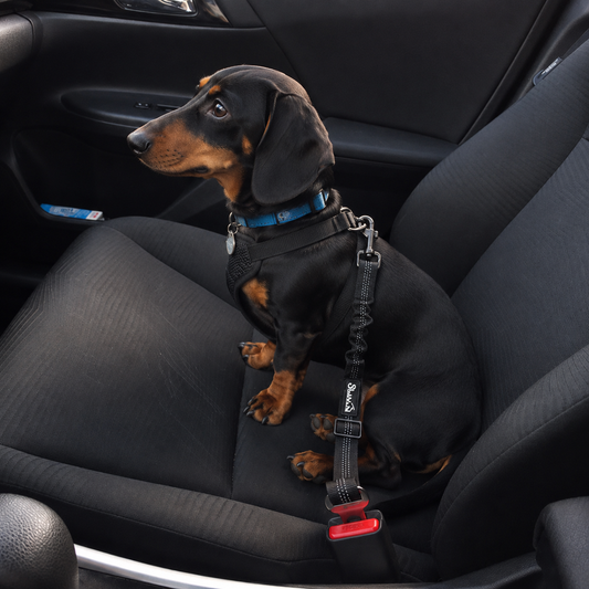 Dog Car Safety Seat Belt with Shock Absorbing Bungee