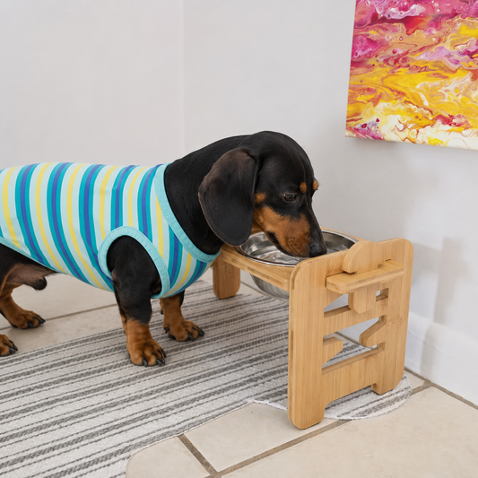 Elevated Wooden Dog Bowl Stand with 2 Stainless Steel Bowls for Dachshunds