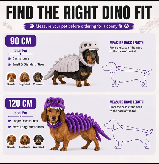 Dino Costume for Dachshunds