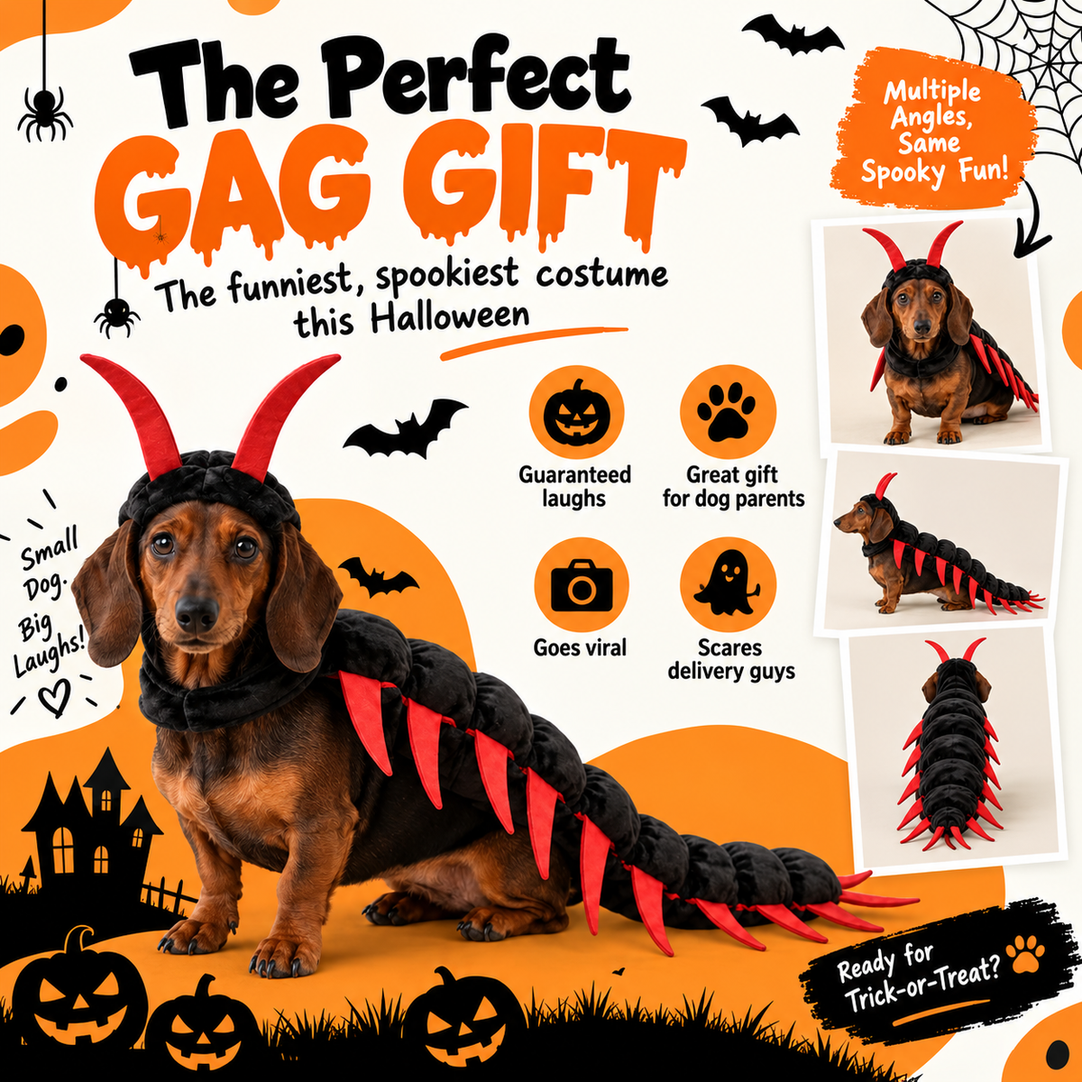 Spooky Spider Costume for Dachshunds – Halloween Dog Outfit