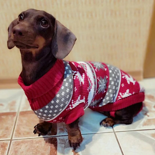 Cute Pet Dog Sweater