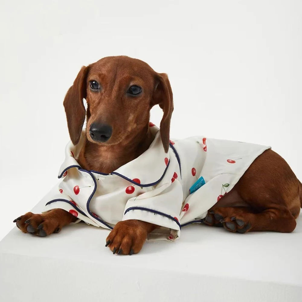 Soft Pajamas for Dachshund Dogs