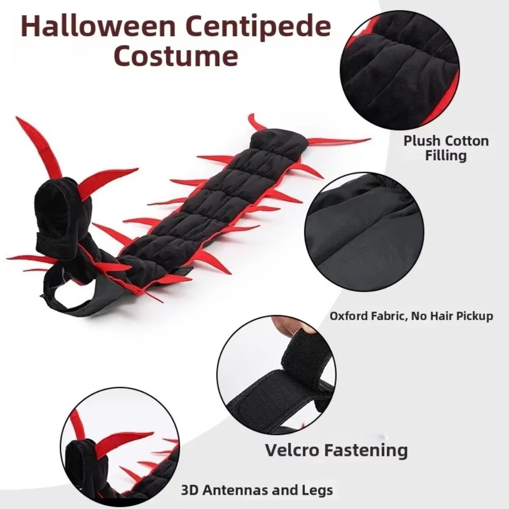 Spooky Spider Costume for Dachshunds – Halloween Dog Outfit