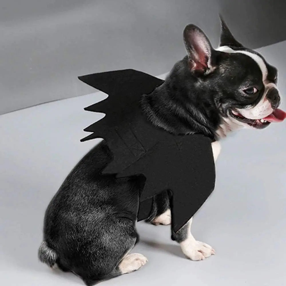 Cute Cat Bat Wings Costume