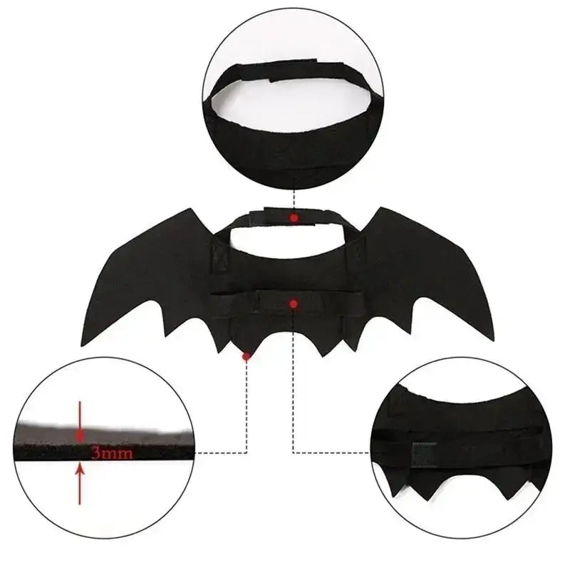 Cute Cat Bat Wings Costume