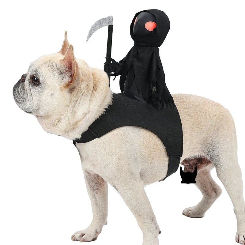 Dark Harvest Knight Pet Costume