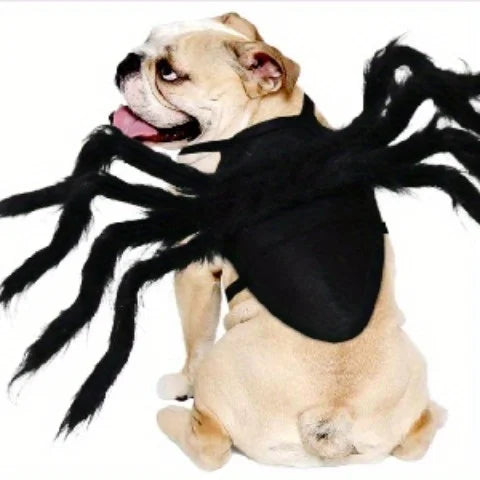 Spider  pet Costume