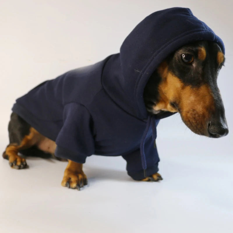 Cool Dog Hoodie