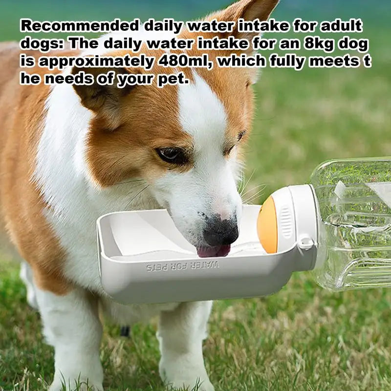 Dog Water Bottle