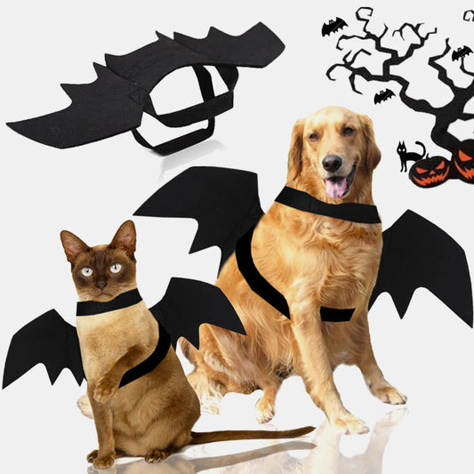 Cute Bat wings