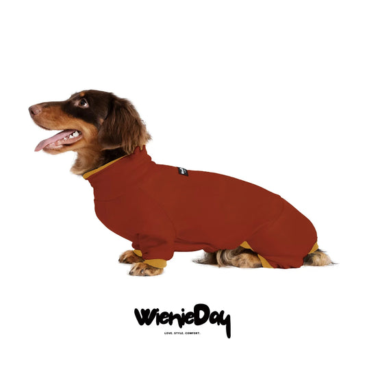 Fashion Red Dachshund Clothes
