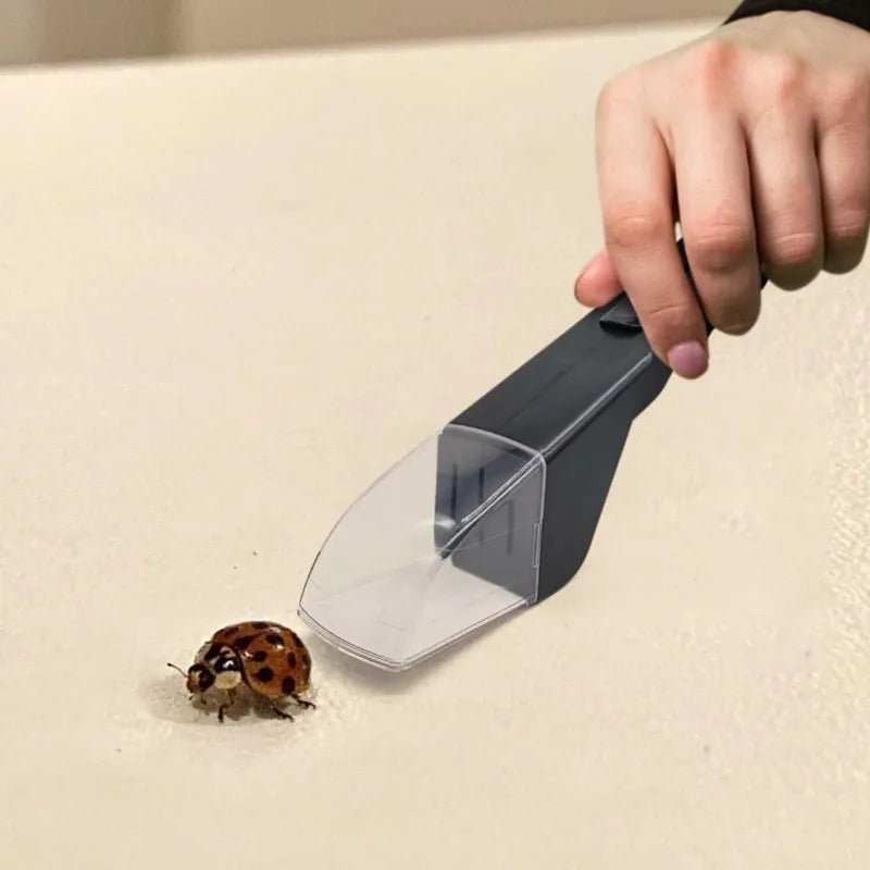 No-Touch Insect Catcher