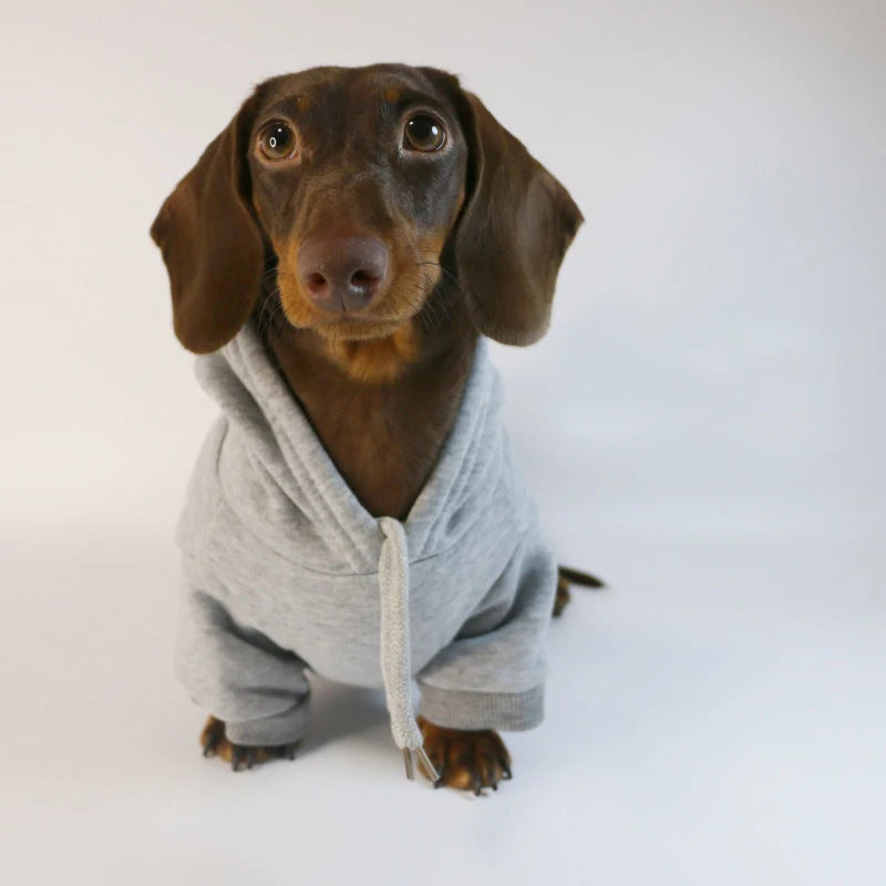 Cool Dog Hoodie