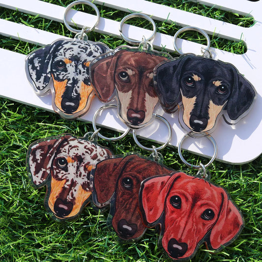 1 piece acrylic cute pets dachshund dog